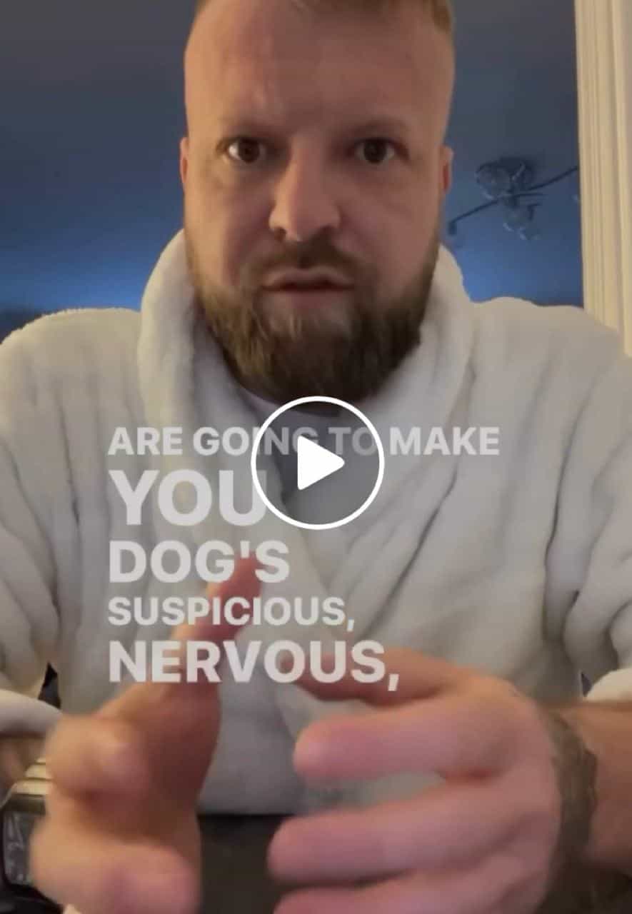 Testing Dogs with Sparkling Water: Prank or Bust?