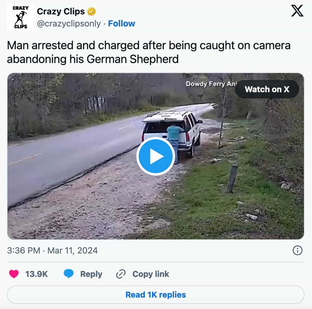 Man Faces Charges for Abandoning German Shepherd: Caught on Camera