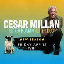 Tune in to the New Season of #BetterHumanBetterDog