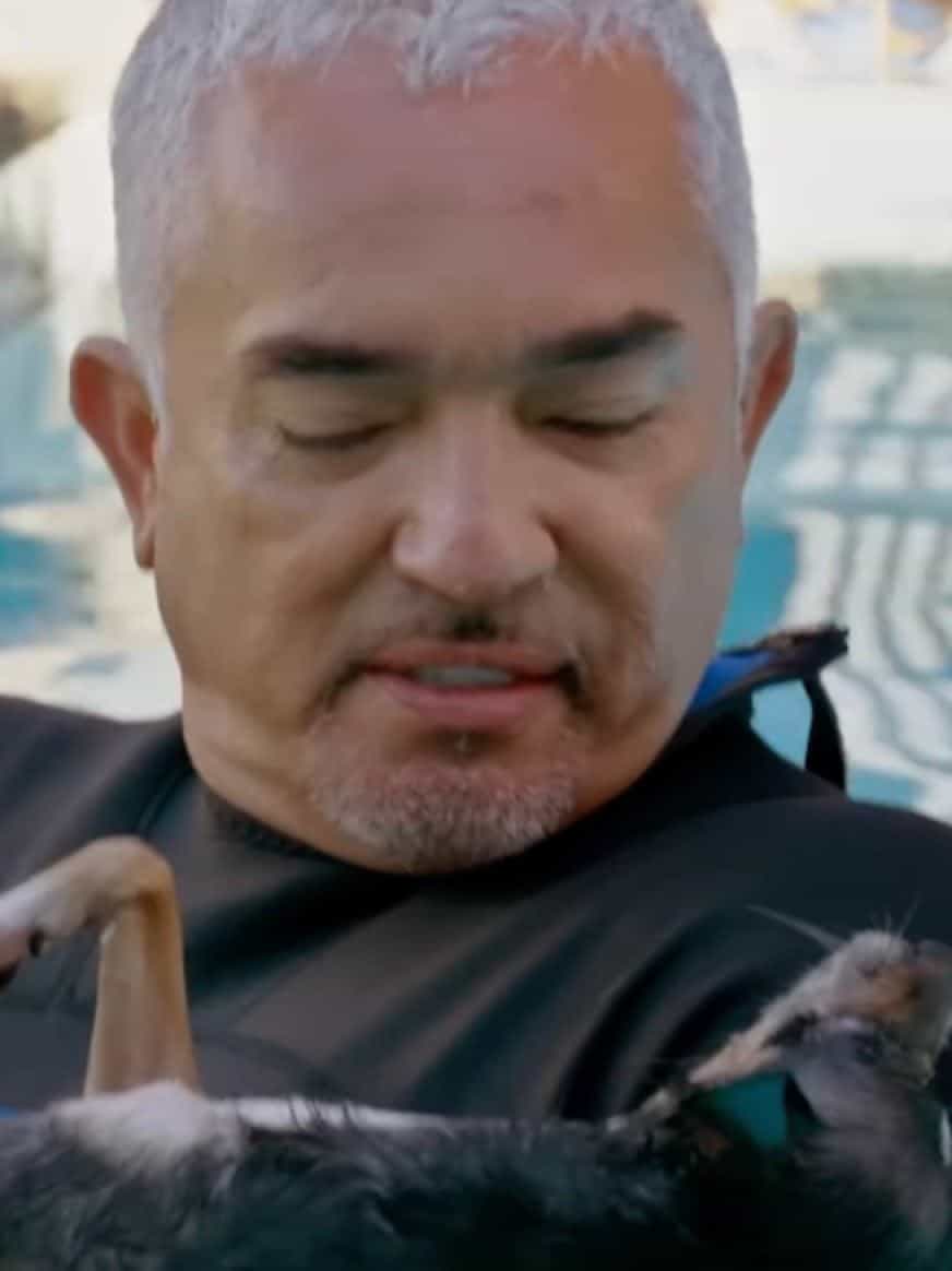 Changing the World Paw by Paw: Join Cesar for the New Season of #BetterHumanBetterDog on National Geographic