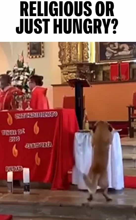 Religious Or Just Hungry?