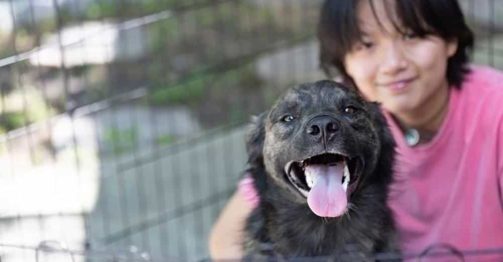 Happy Tail Wags at Iowa Shelter!