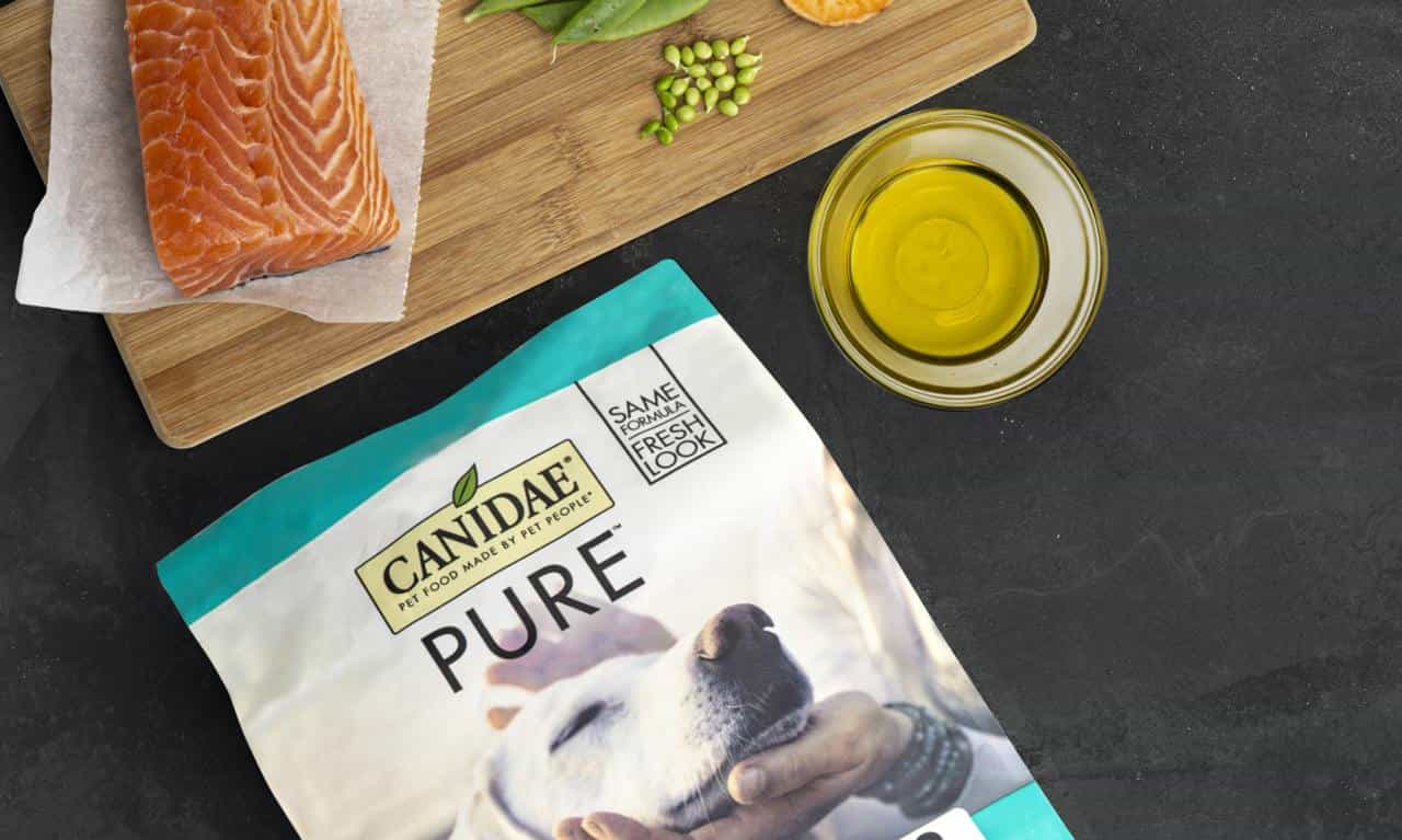 Why Salmon is a Superfood for Dogs: Benefits & Best Brands