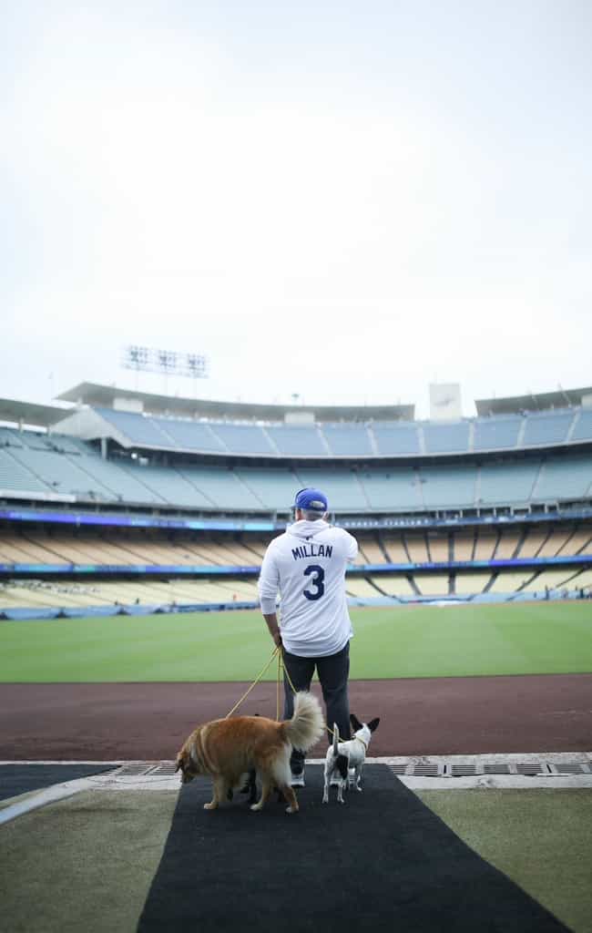 A Day to Remember: 700 Dogs Take Over Dodgers Stadium