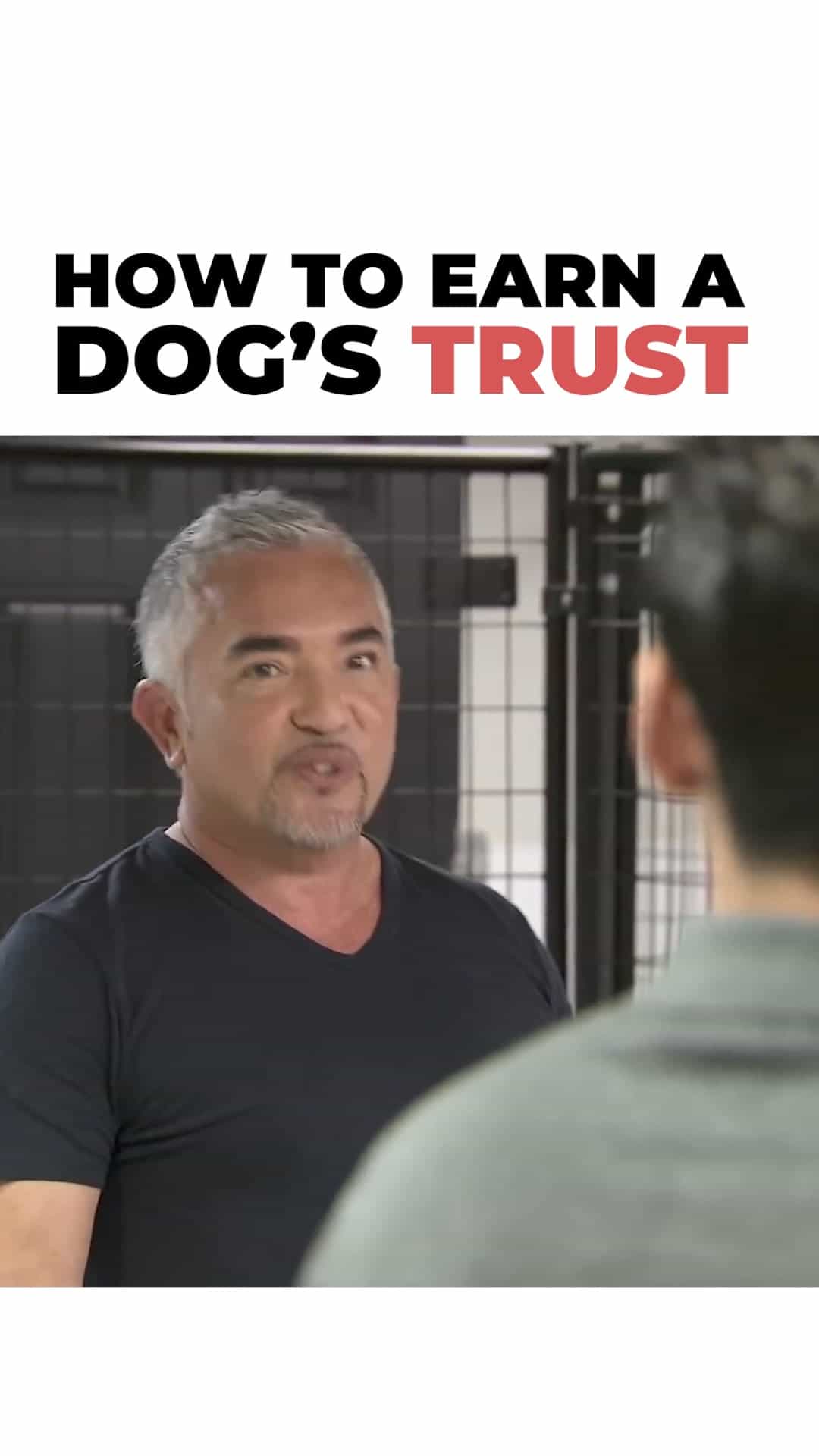 Helping Bruce Find His Forever Home: Trust and Love on Dog Natio