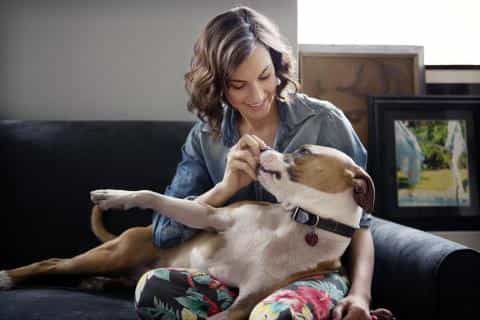 Can Dogs Help You De-Stress? The Answer is Yes!