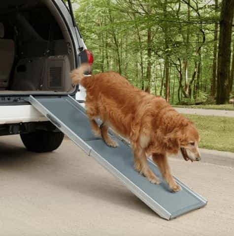 The Benefits and Importance of Dog Ramps: Enhancing Your Pet's Mobility and Comfort