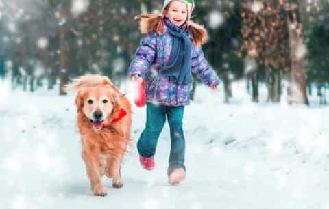 Keeping Your Active Dog Safe This Winter: 6 Essential Tips