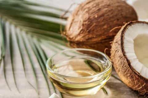 Should You Give Your Dog Coconut Oil? Here’s What You Need to Know