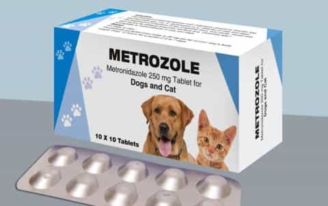 Metronidazole for Dogs: Uses, Dosage, and Side Effects