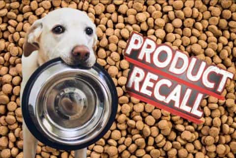 Dog Food Recalls: What You Need to Know & Where to Look