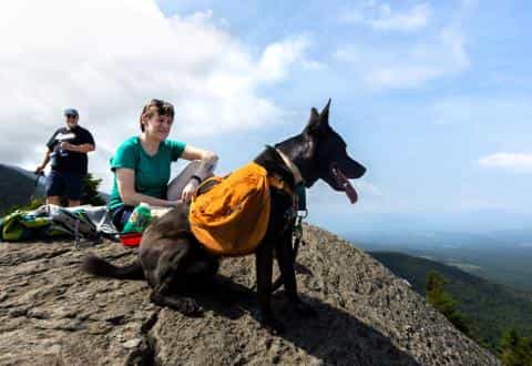 Hit the Trail Together: Everything You Need to Know About Hiking with Your Dog