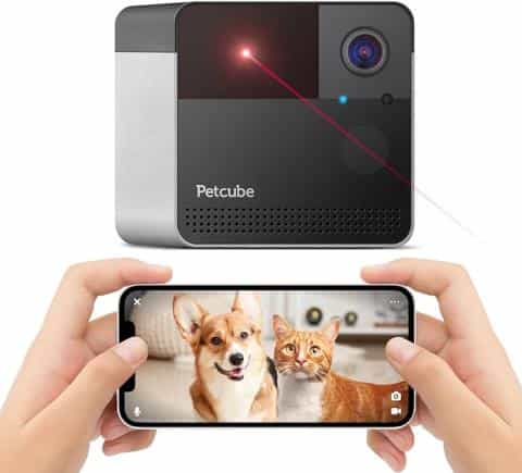 Best Indoor Security Cameras for Dogs: Keep Your Pup Safe and Secure