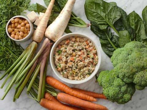 Can Adding Fiber to Your Dog’s Diet Aid in Weight Loss?