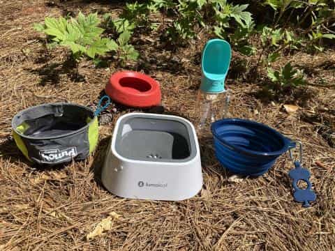 Must-Have Travel Bowls for Dogs: Compact, Practical, and Ready for Travel