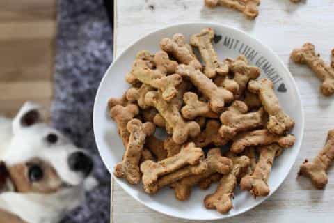 Dog Treats Done Right: Training, Bonding, and Positive Reinforcement